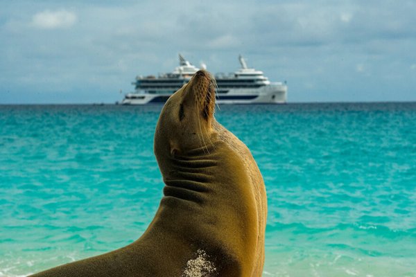 South Plaza (Santa Cruz), Galapagos Islands