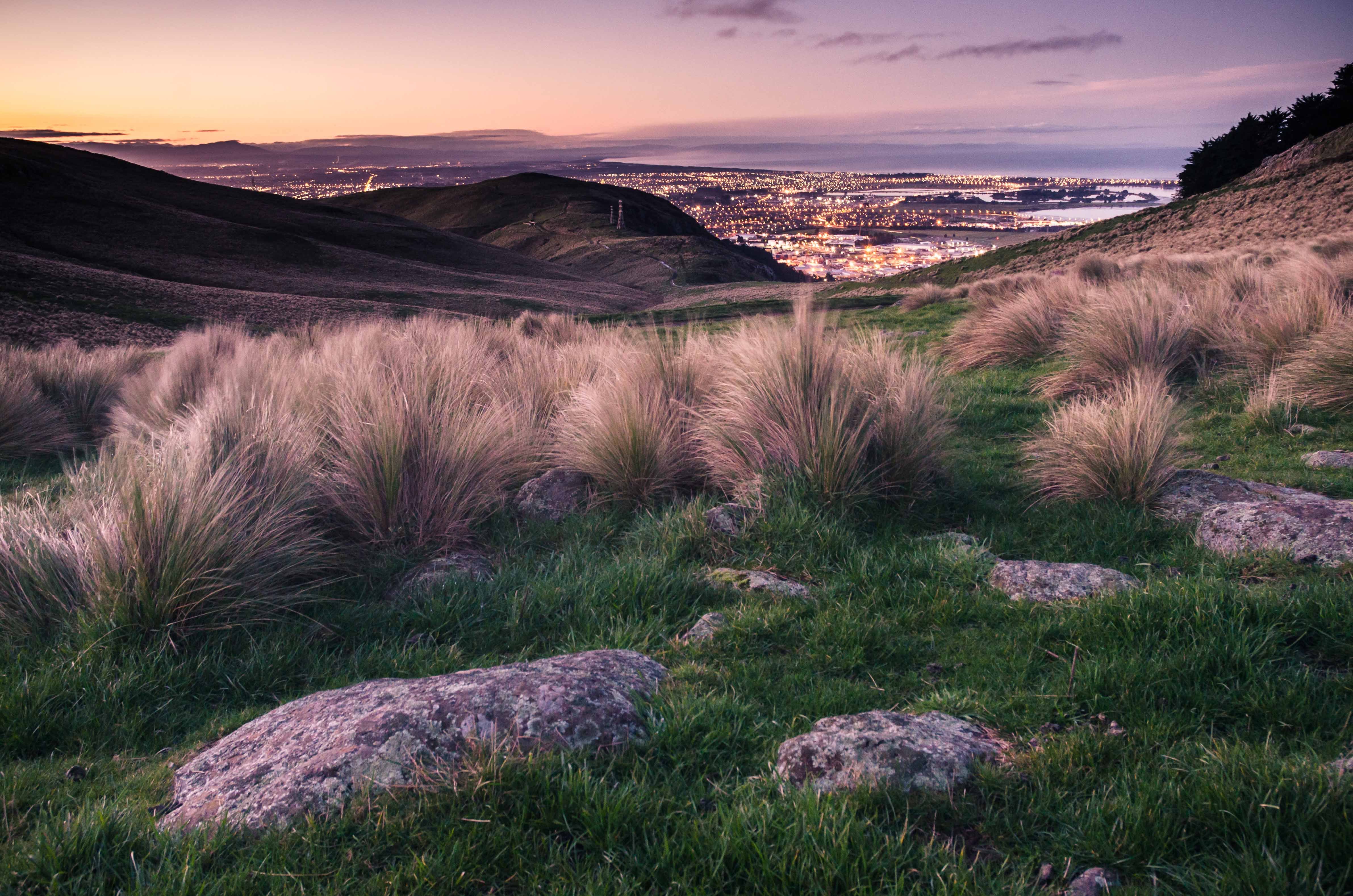 Neuseeland ab Dunedin, Neuseeland auf der Le Soléal