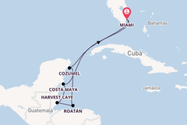 Cruise in 8 dagen naar Miami met Oceania Cruises