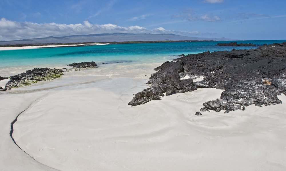 Galapagos-Inseln ab Baltra, Galapagosinseln auf der Celebrity Flora