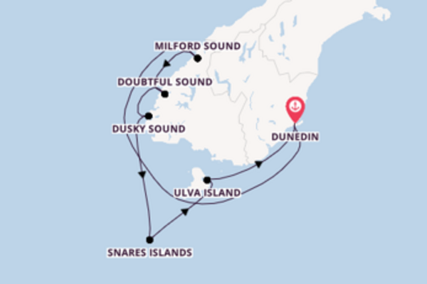 Einzigartige Kreuzfahrt über Dusky Sound ab Dunedin