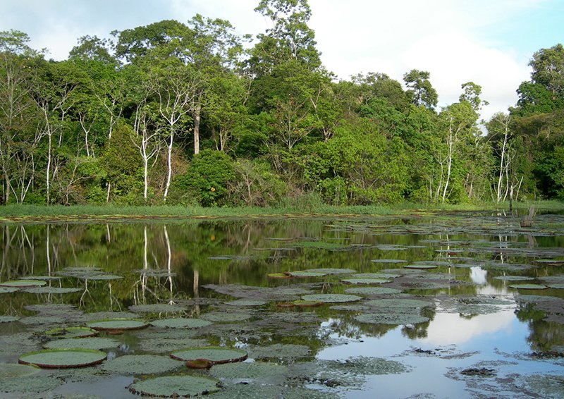 RV Brasilian Dream - Vom Amazonas Dschungel zur Copacabana