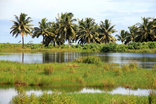 Asau, Samoa