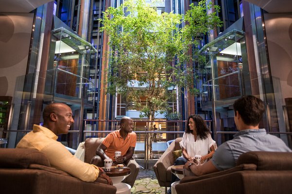 Celebrity Reflection