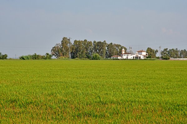 Isla Minima, Spanien