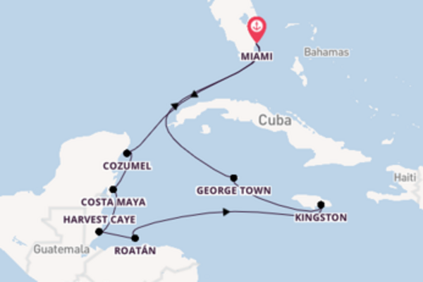 Cruise in 11 dagen naar Miami met Regent Seven Seas Cruises