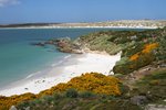 Carcass Island, Falklandinseln 