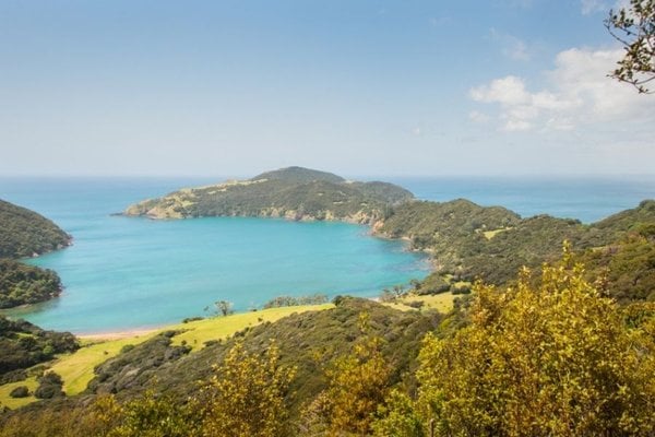 Whangamumu Harbour, New Zealand