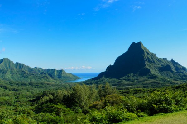 Opunohu Bay, Moorea,