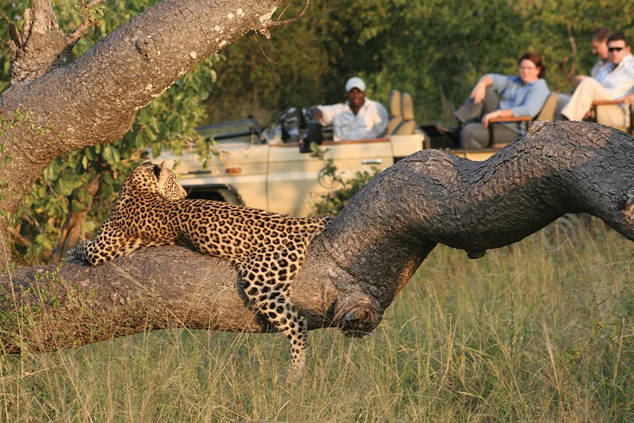 Zambezi Queen
