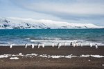 South Orkney Eilanden, Antarctica