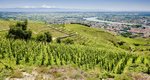 Tain-l'Hermitage