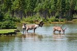 La Baie (Serguenay River), Canada