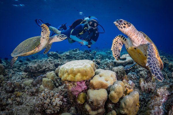 Australia and the Great Barrier Reef