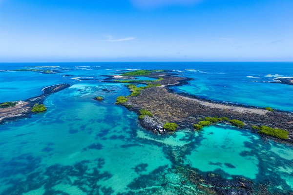 Punta Moreno (Isabela), Galapagos Islands