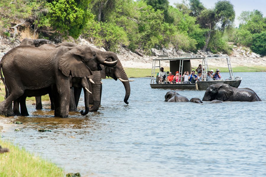 Zambezi Queen