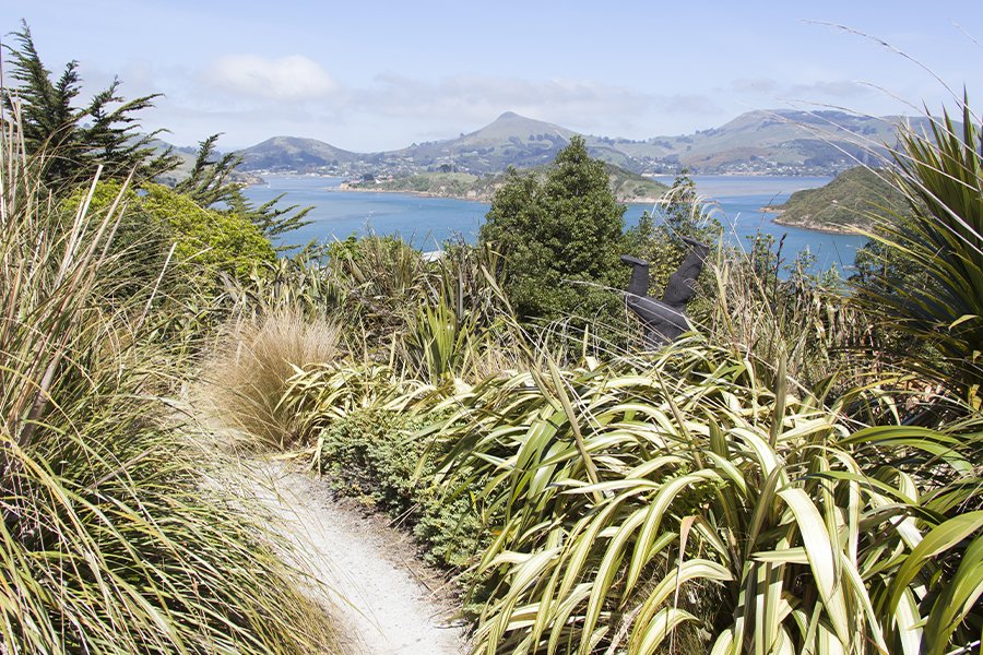 Neuseeland ab Sydney auf der Westerdam