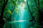 Amazonas (Panoramafahrt)