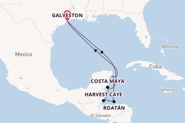 Westelijke Caraïben vanaf Galveston, Verenigde Staten met de Norwegian Prima