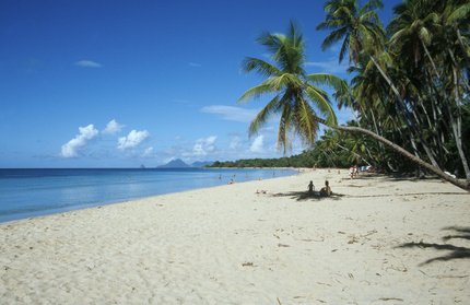 Caribbean Cruises met de MSC World Europa