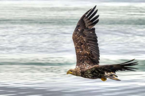 Unalaska Island, Alaska