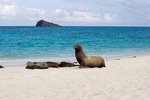 Gardner Bay (Espanola), Galapagos Islands