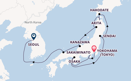 Sakura to Seoul Serenity