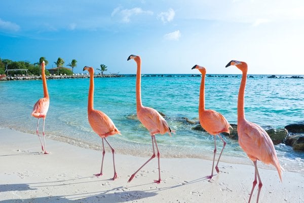 Enchanted Escape: A Winter in Paradise from Miami to the Caribbean
