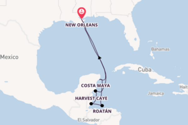 Cruise in 8 dagen naar New Orleans met Norwegian Cruise Line