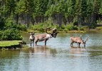 Saguenay, Canada