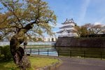 Niigata, Japan