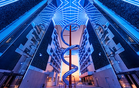 MSC Catch of the Week: Diese Woche clever sparen