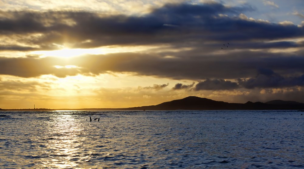Galapagos Islands from Baltra, Galapagos Islands, Ecuador with the Celebrity Flora