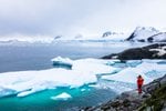Antarctic Peninsula, Antarctica