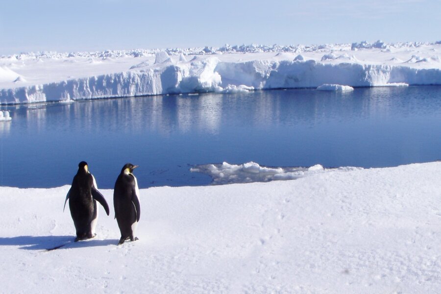Antarktis ab Ushuaia, Argentinien auf der MS Roald Amundsen