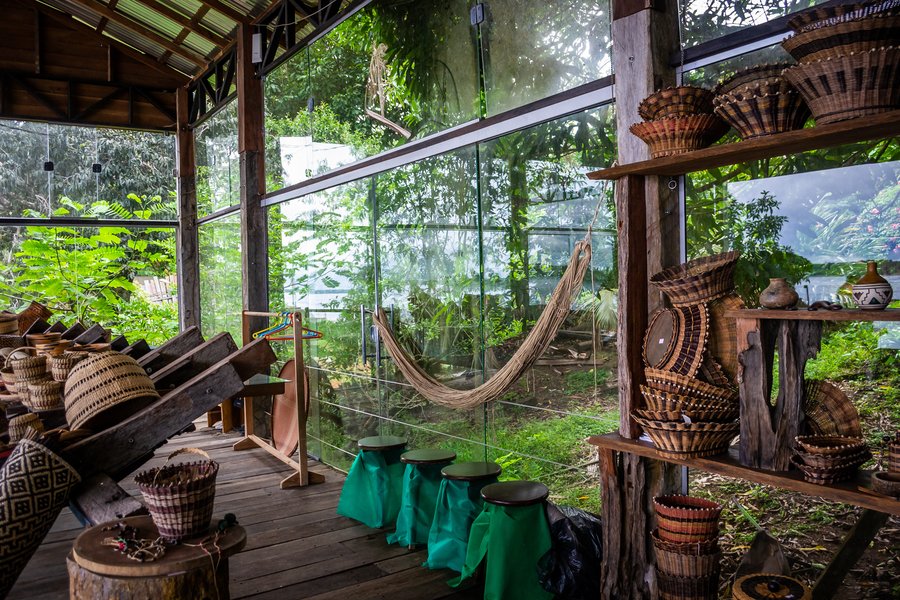 Amazonas ab Manaus, Brasilien auf der Amazon Clipper Premium
