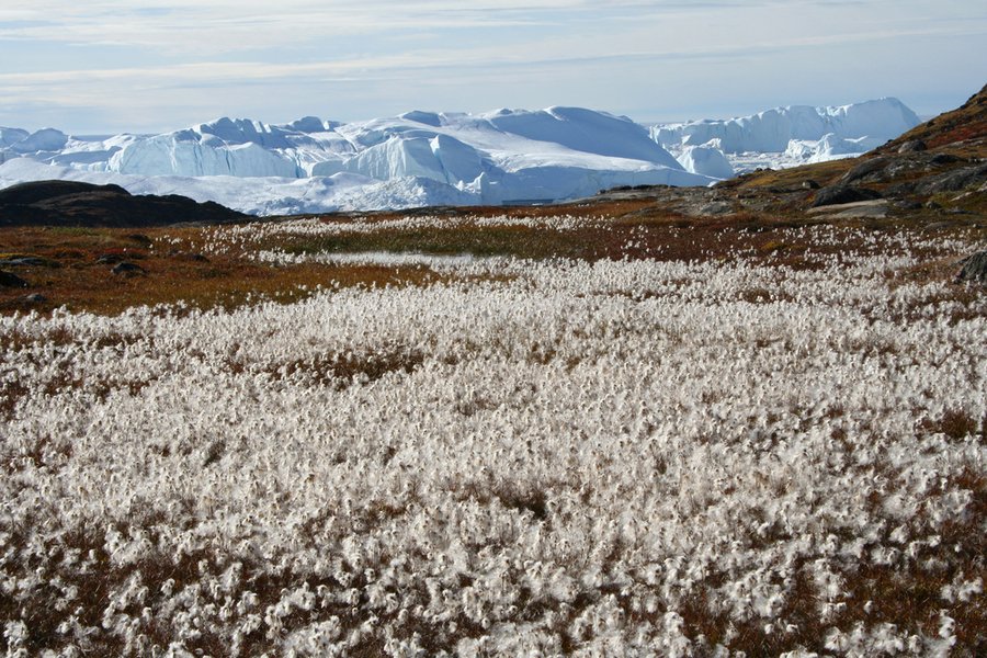 Arktis ab Nuuk, Grönland auf der Silver Wind