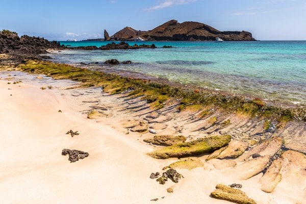 Sullivan Bay (Santiago), Galapagos Islands, Ecuador