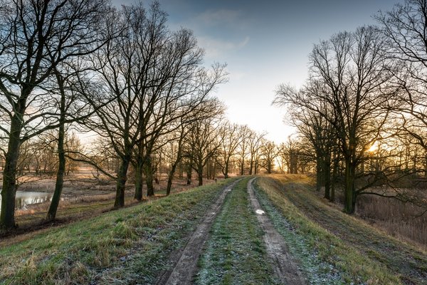 Odereck (Cigacice), Polen