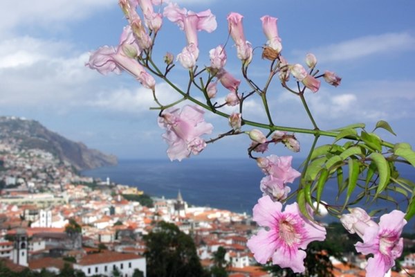 Luxury Atlantic Sky with Portugal, Morocco & Spain