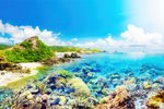 Lamalera, Lomblen Island, Indonesia