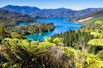 Queen Charlotte Sound, Neuseeland
