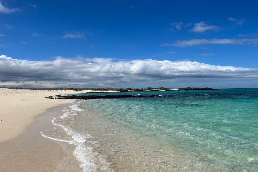 Galapagos-Inseln ab Baltra, Galapagosinseln auf der Celebrity Flora
